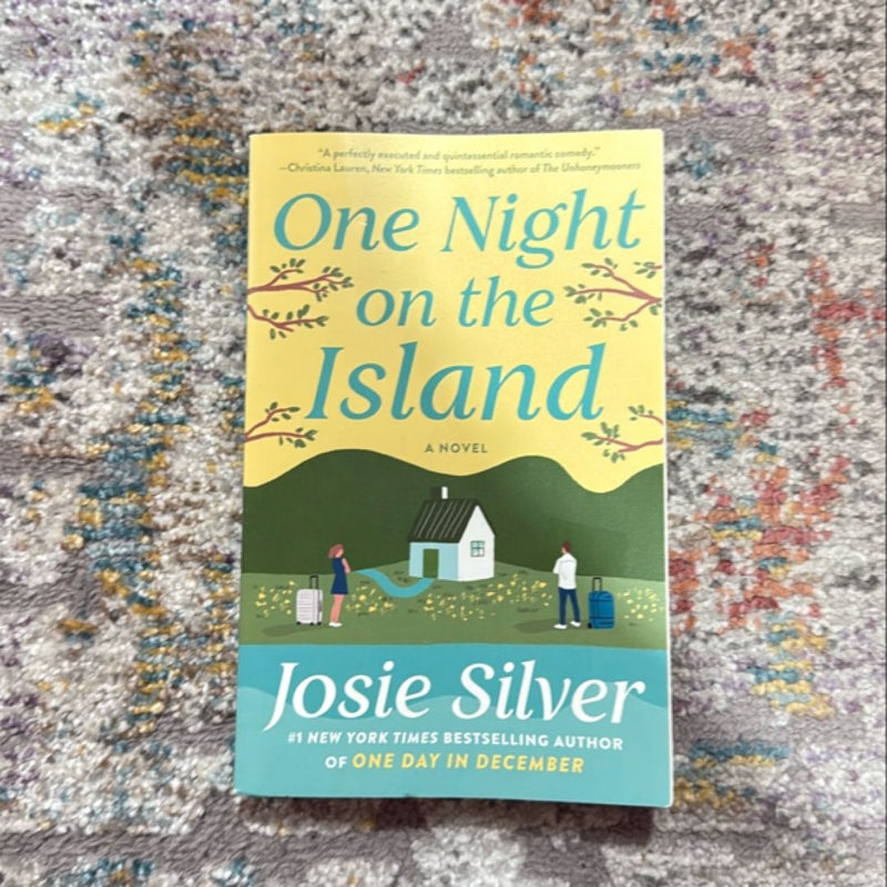 One Night on the Island