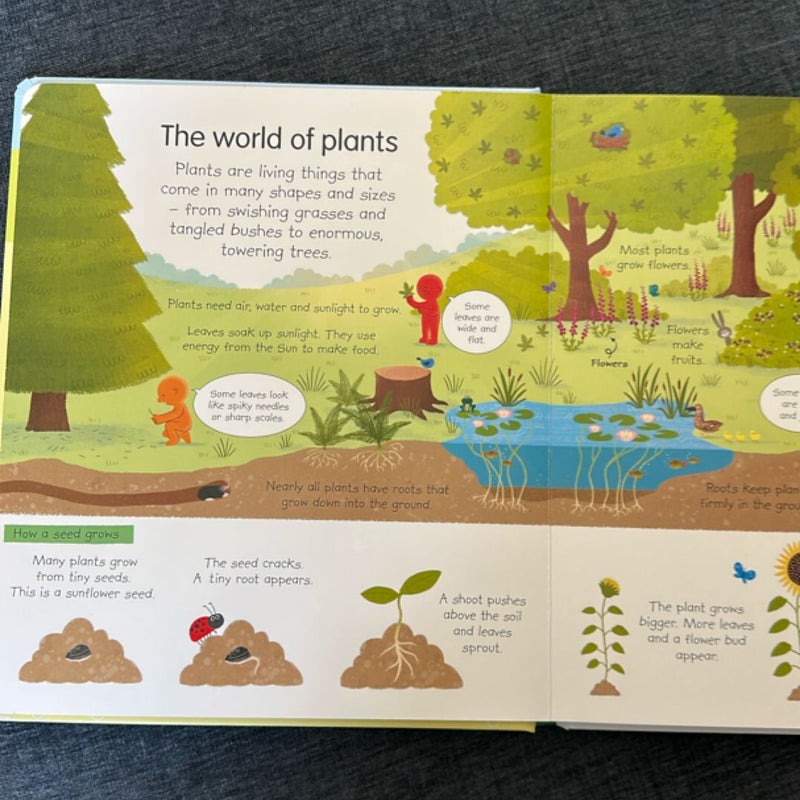 My Very First Science Book