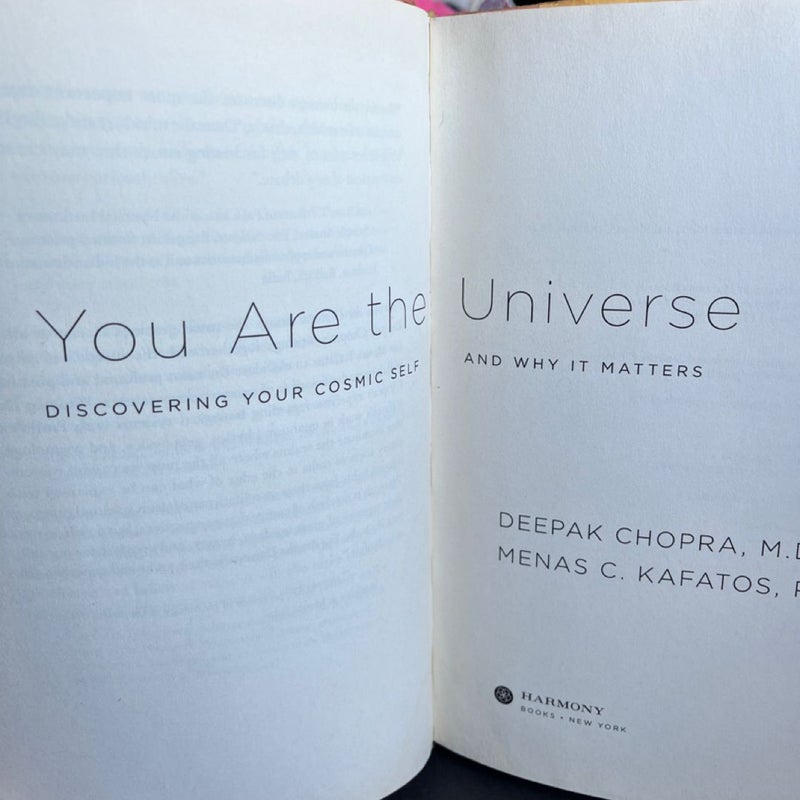 You Are the Universe