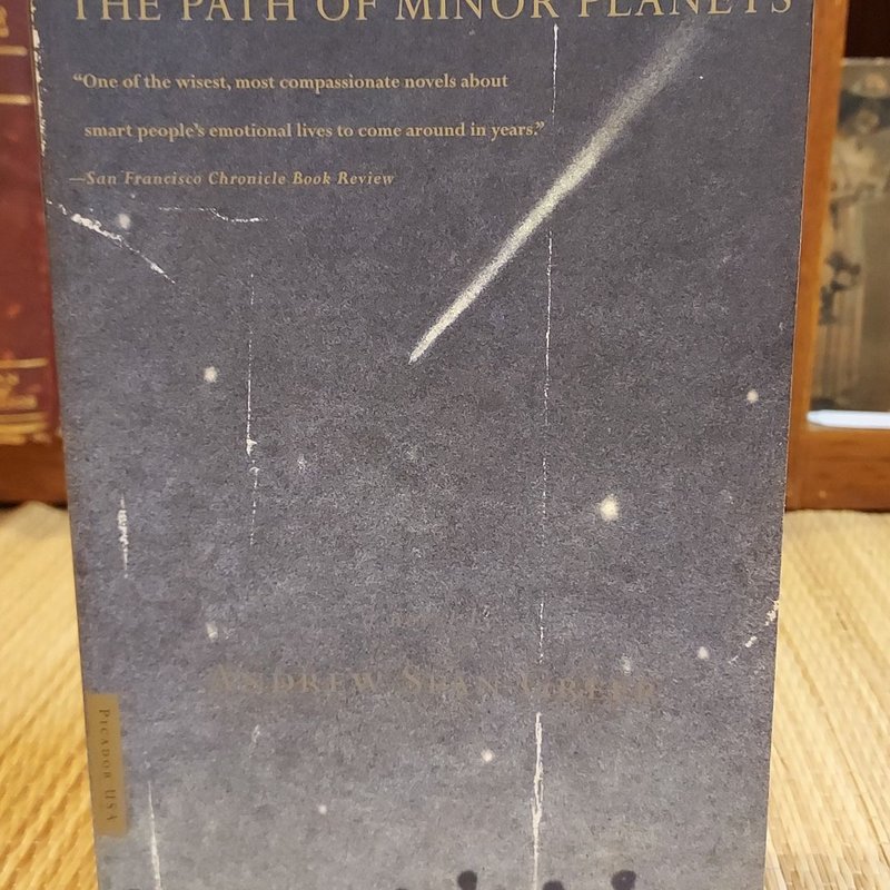 The Path of Minor Planets