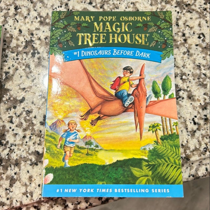 Magic Tree House Books 1-4 Boxed Set