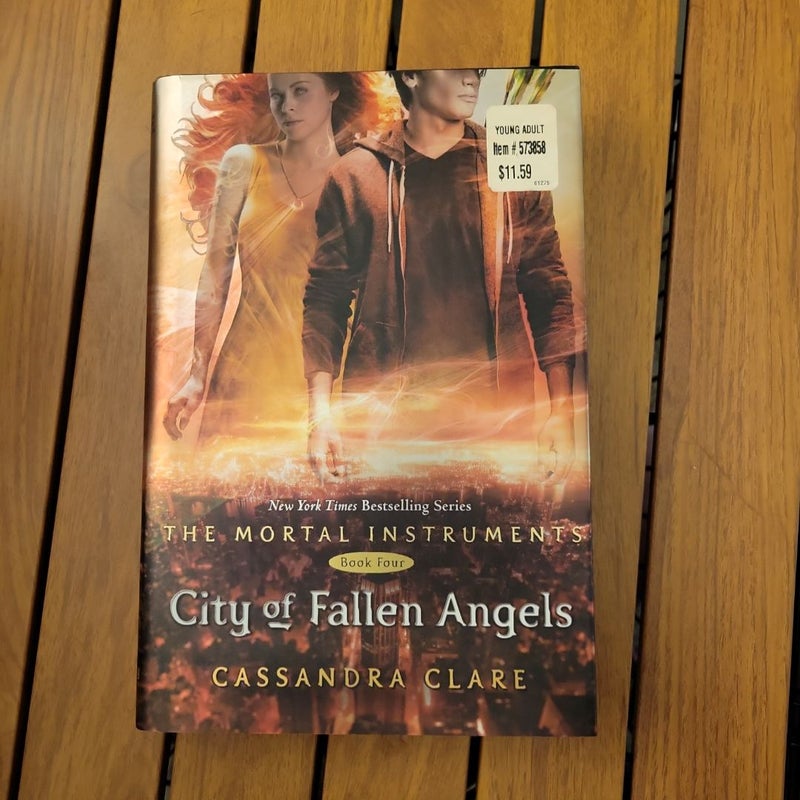 City of Fallen Angels