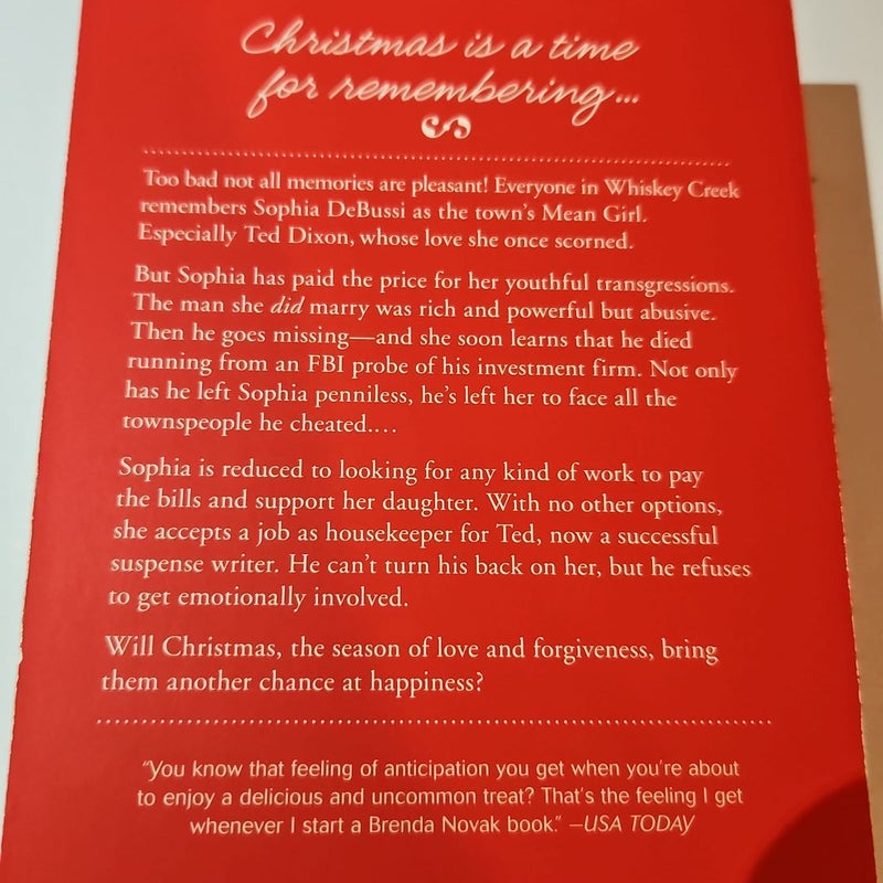 Take Me Home for Christmas
