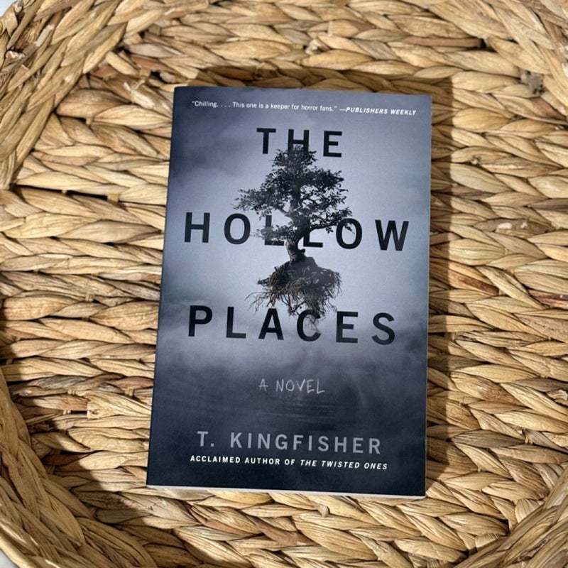 The Hollow Places