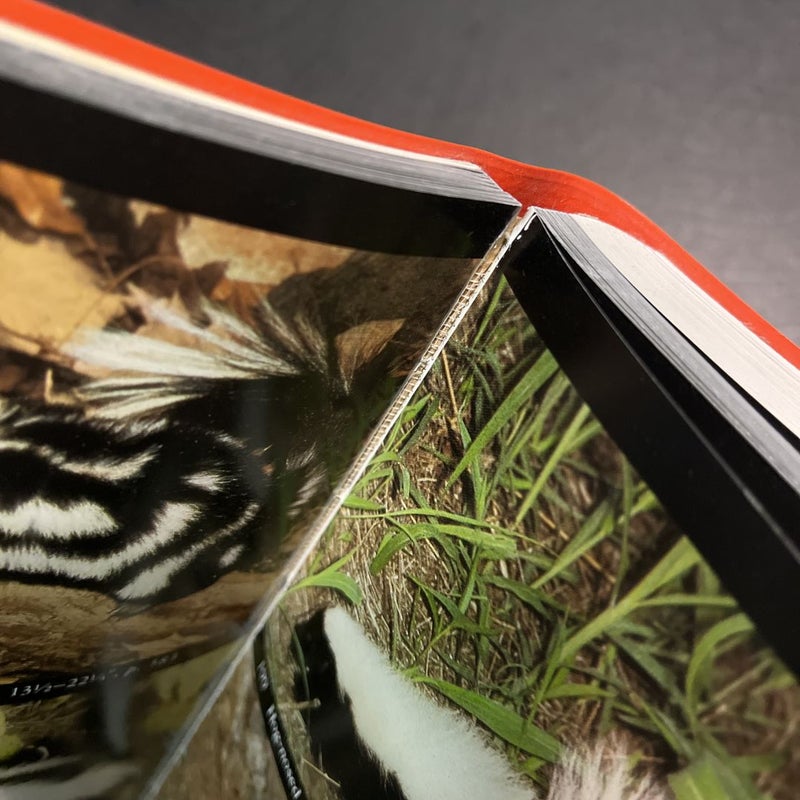 The Audubon Society Field Guide to North American Mammals [Vinyl Bound]