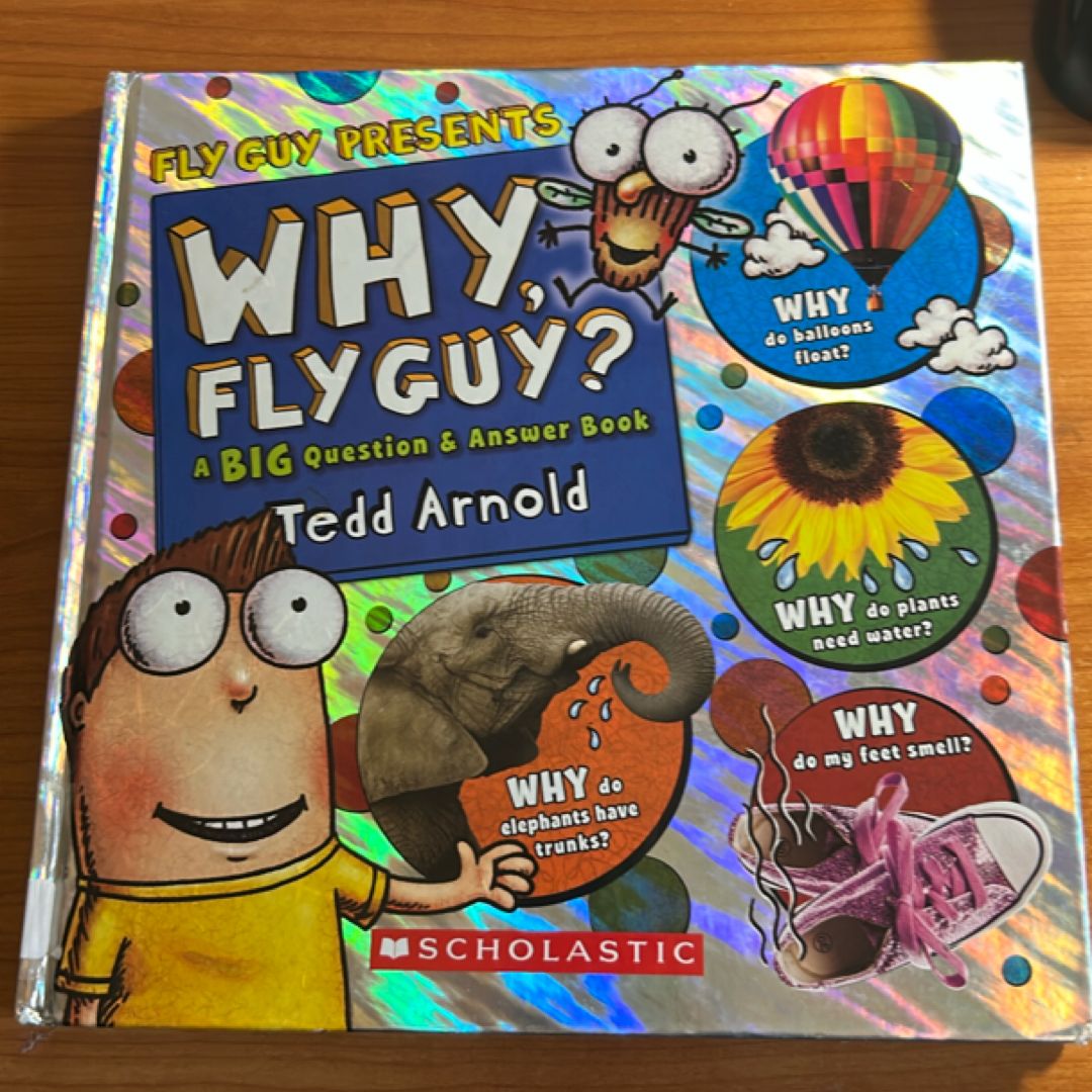 Why, Fly Guy?