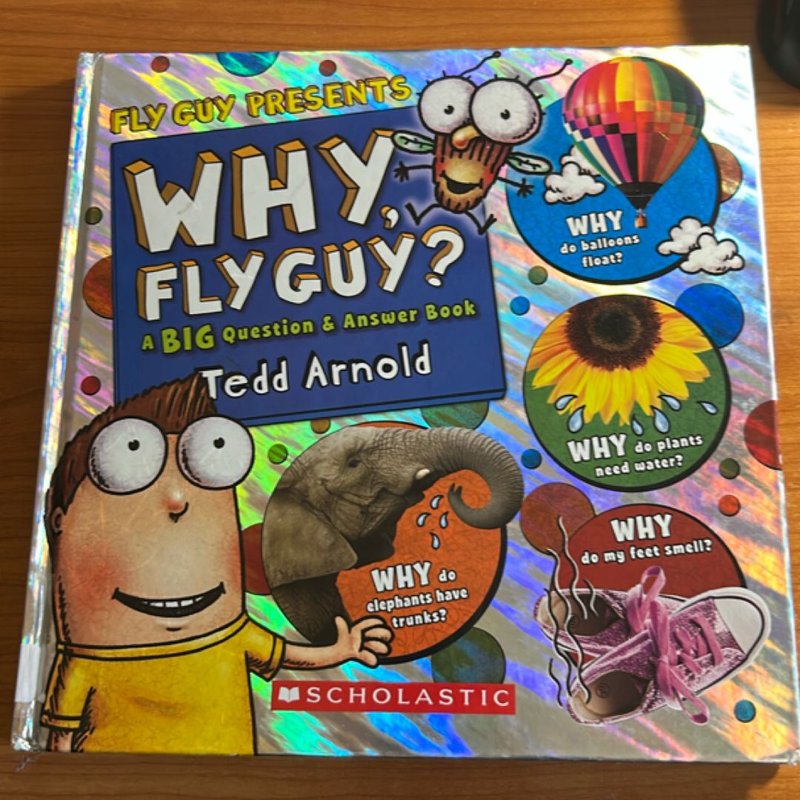 Why, Fly Guy?