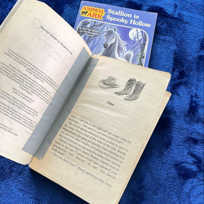 BOOK BUNDLE: Mustang in the Mist and Stallion in Spooky Hollow
