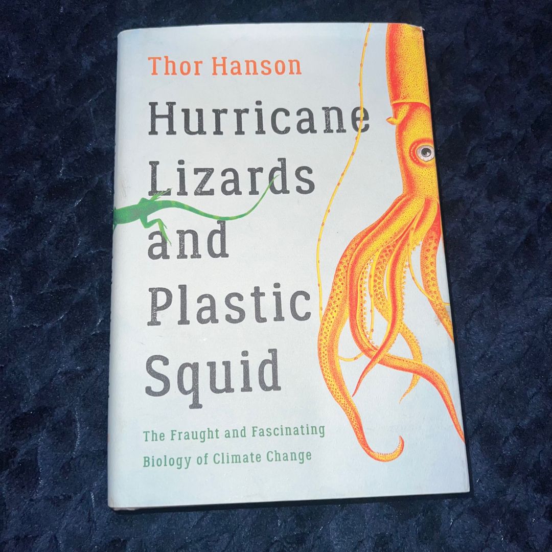 Hurricane Lizards and Plastic Squid