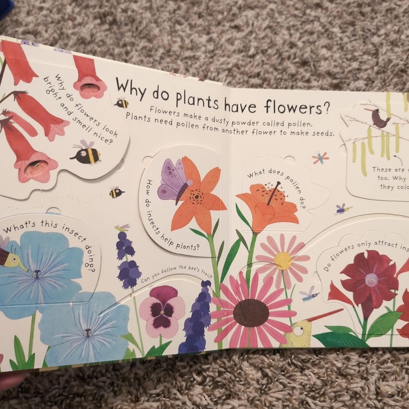 How Do Flowers Grow?