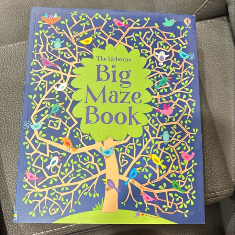 Big Maze Book