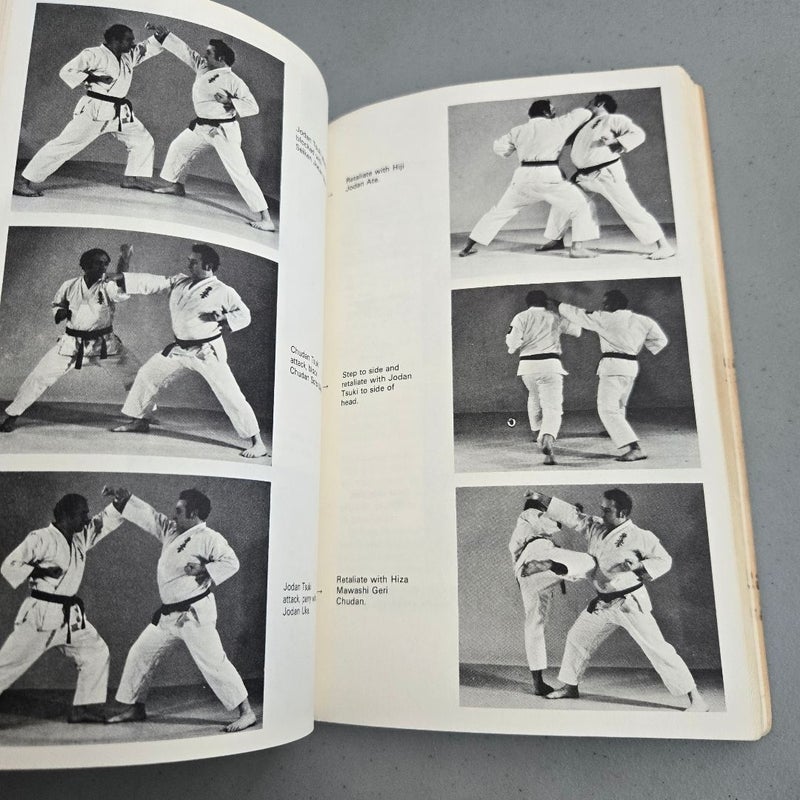 Modern Karate 