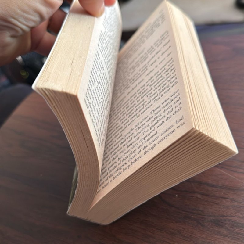 The Last Prince of Ireland