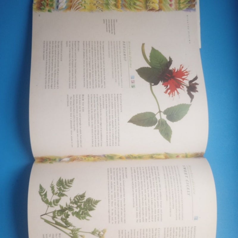 The Complete Book of Herbs