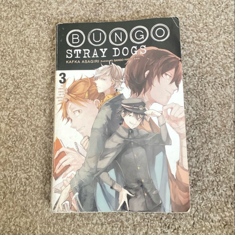 Bungo Stray Dogs, Vol. 3 (light Novel)