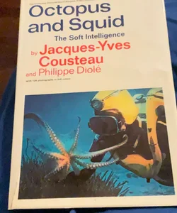 Octopus and Squid 