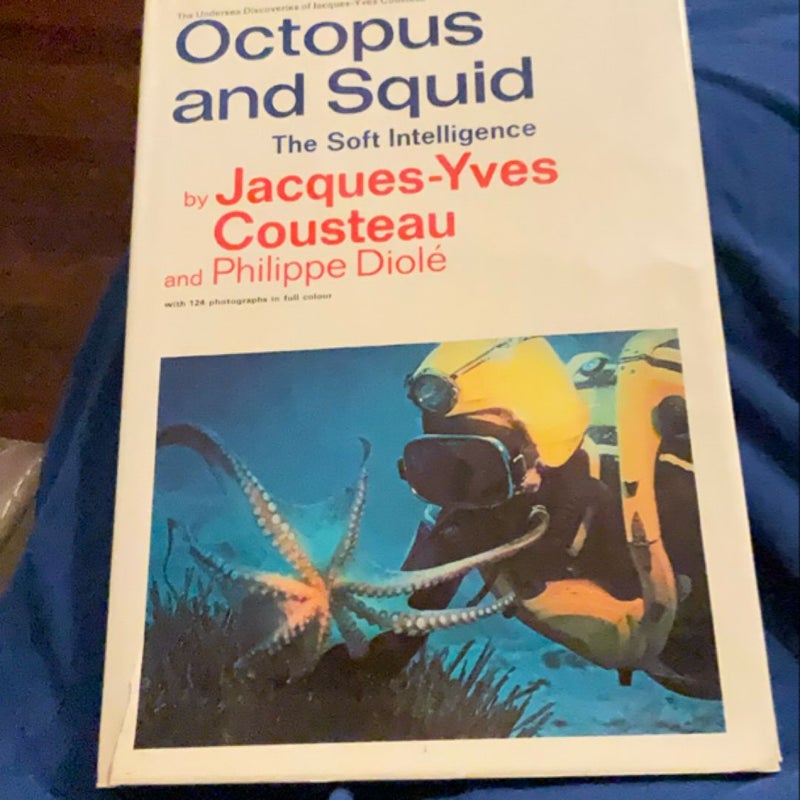 Octopus and Squid 