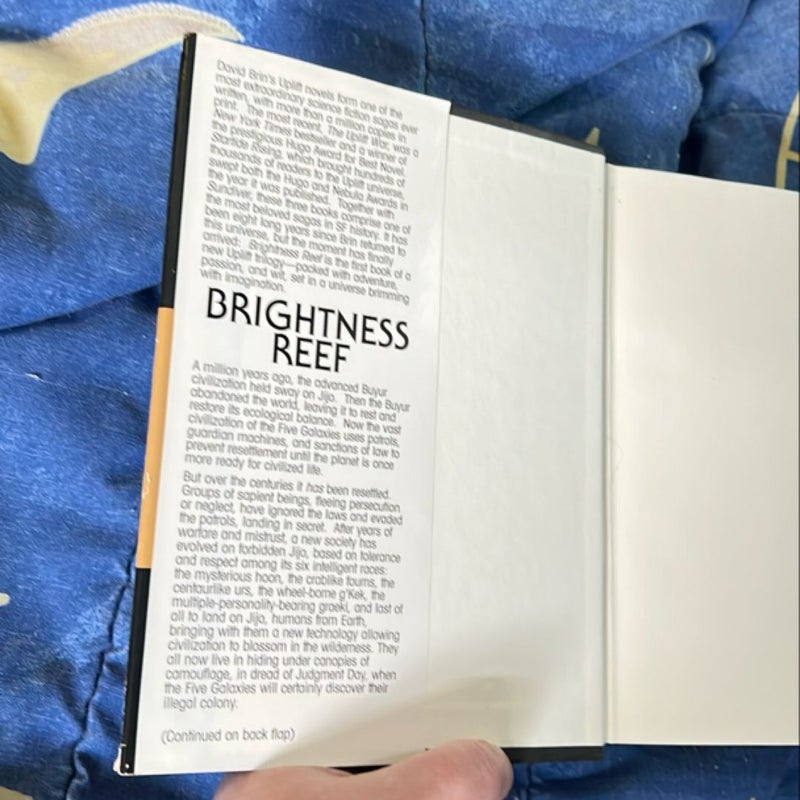 Brightness Reef