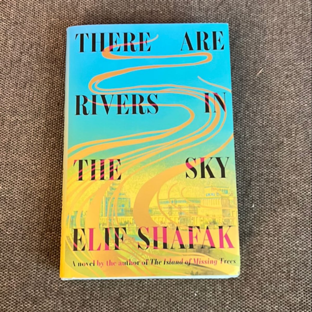 There Are Rivers in the Sky by Elif Shafak