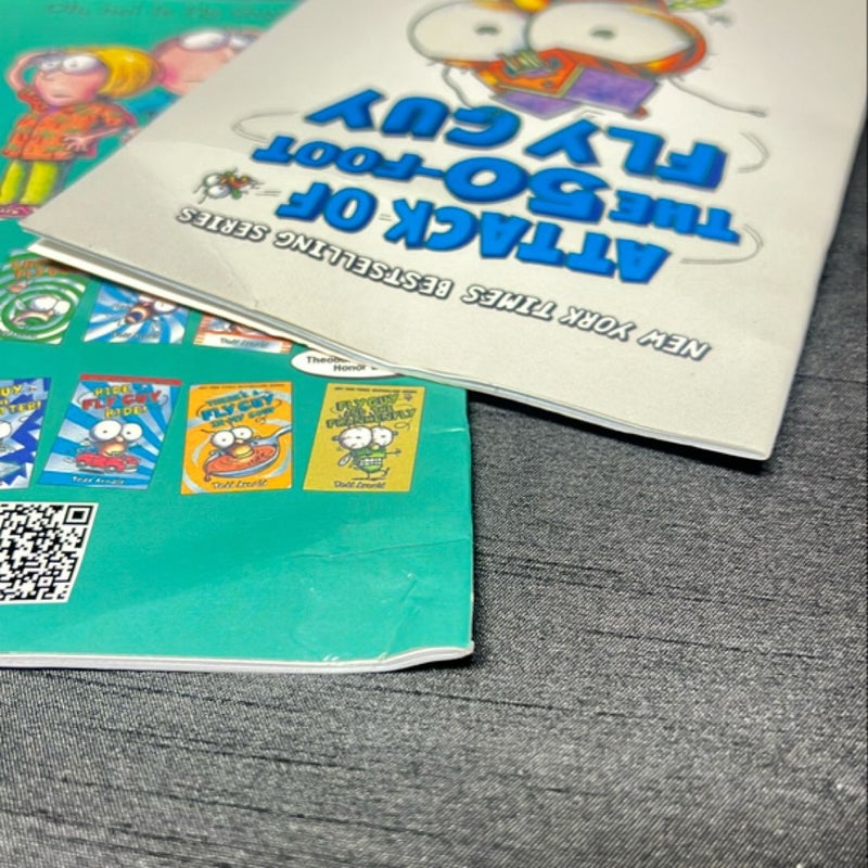Fly Guy books set