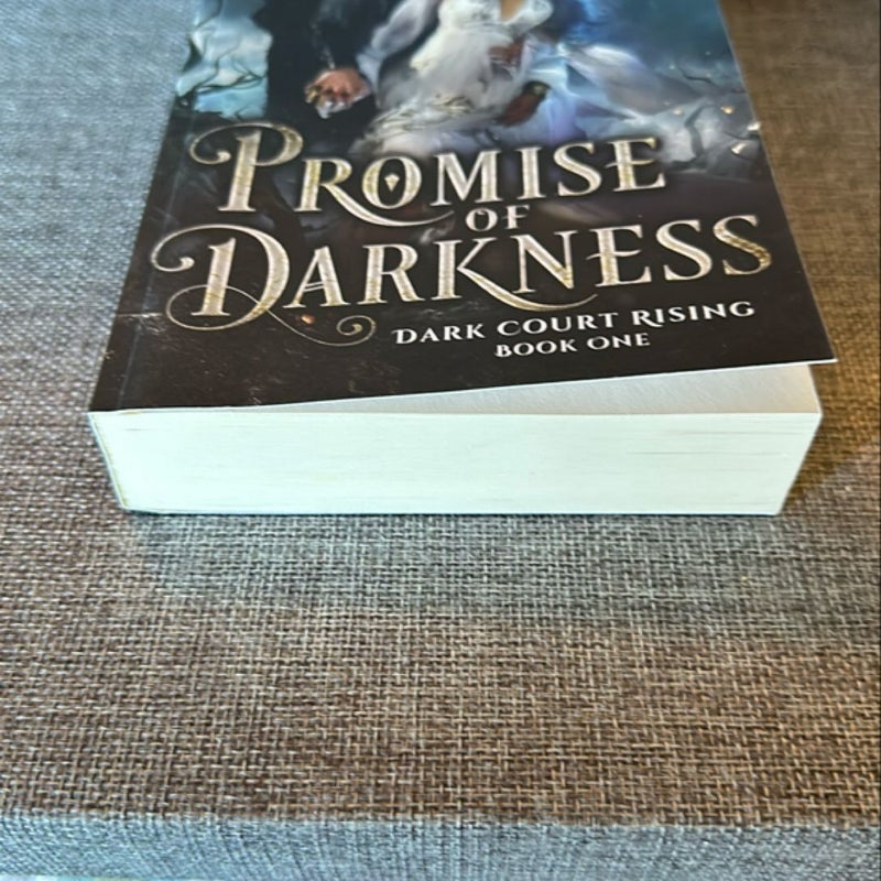 Promise of Darkness