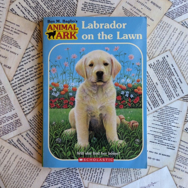 Animal Ark: Labrador on the Lawn