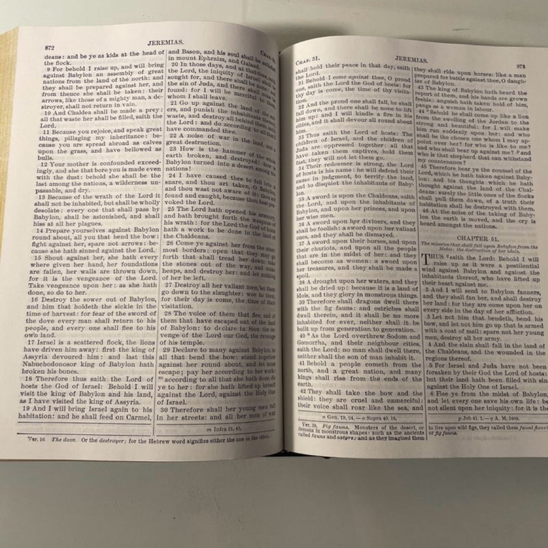 The Holy Bible Douay-Rheims Version 1989 Tan Books Blk Leatherette Very Good