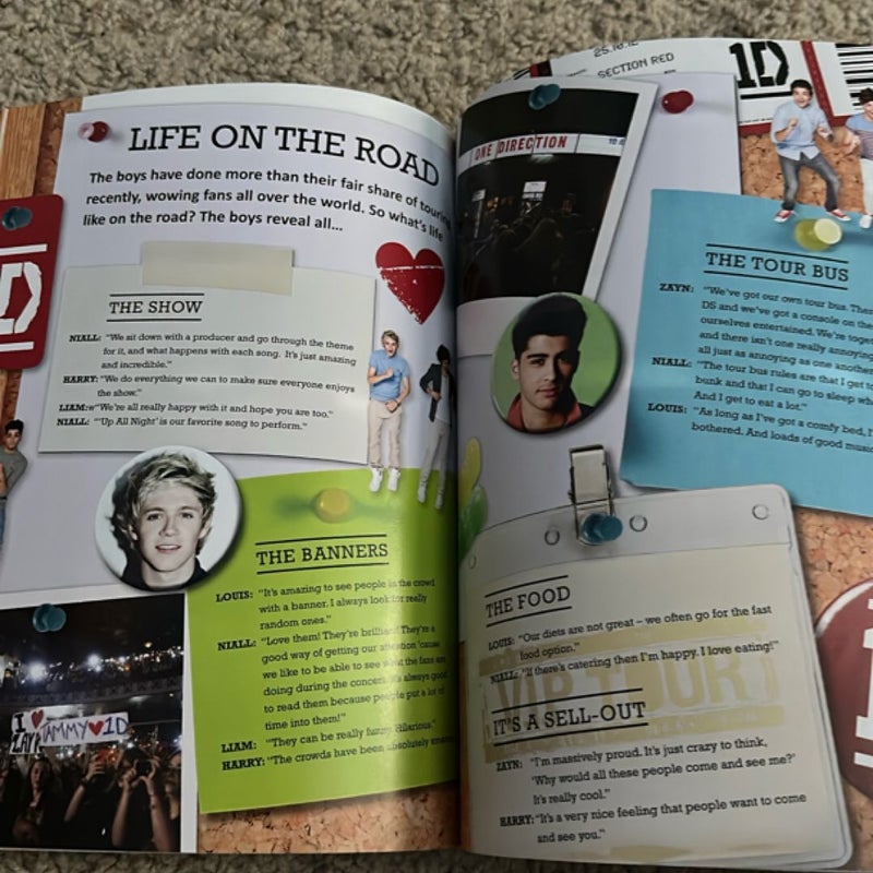 One Direction: a Year with One Direction