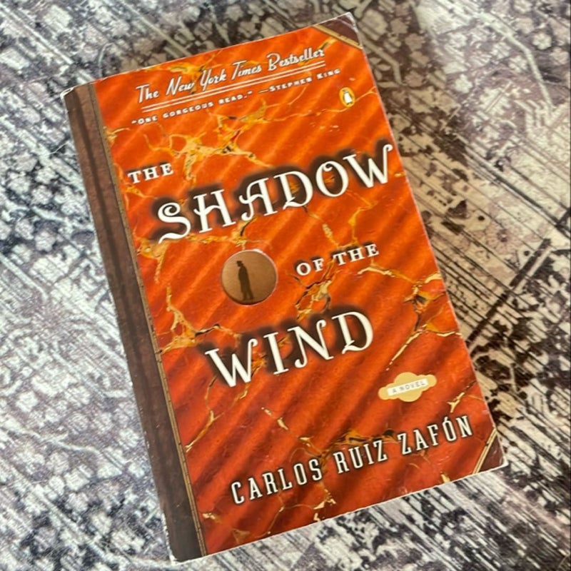 The Shadow of the Wind