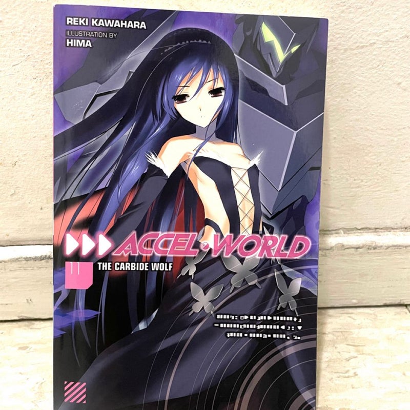 Accel World, Vol. 11 (light Novel)