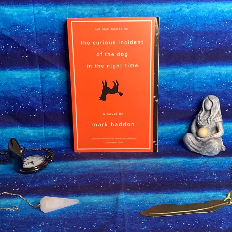The Curious Incident of the Dog in the NightTime by