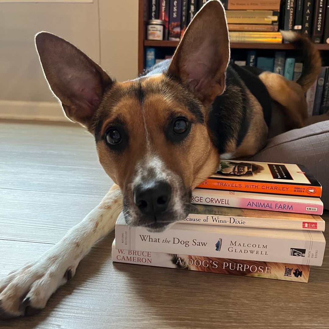 Lupa's Library