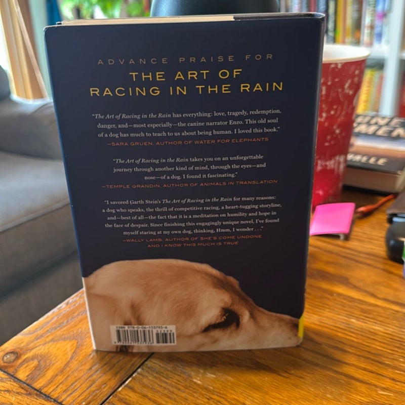 The Art of Racing in the Rain