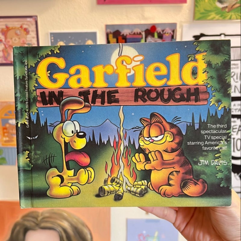 Garfield in the Rough