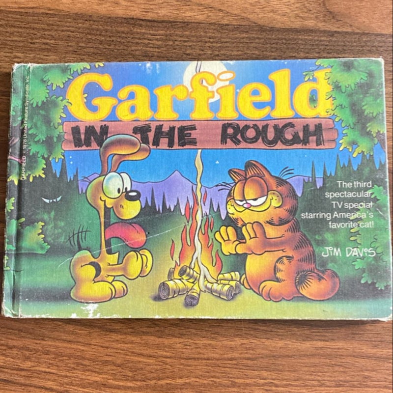 Garfield in the Rough