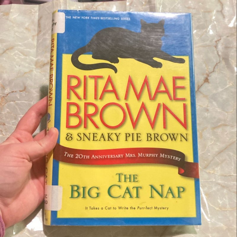 The Big Cat Nap