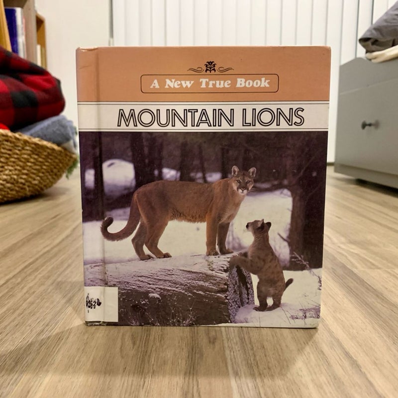 Mountain Lions