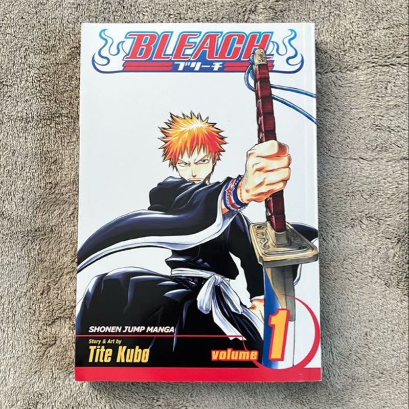 Bleach, Vol. 1