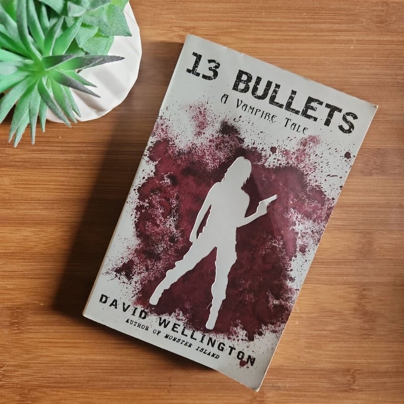 13 Bullets