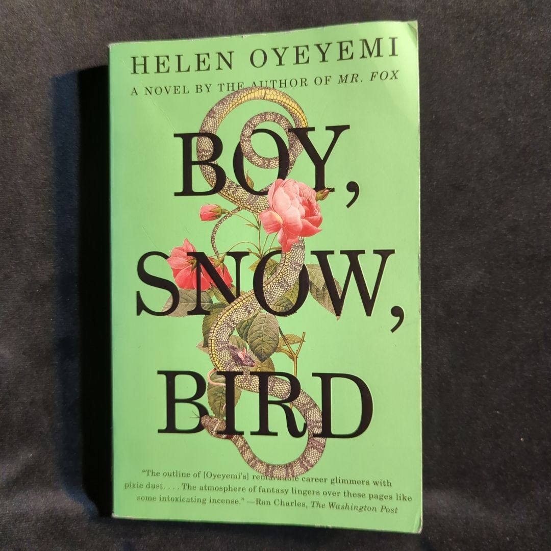 Boy, Snow, Bird