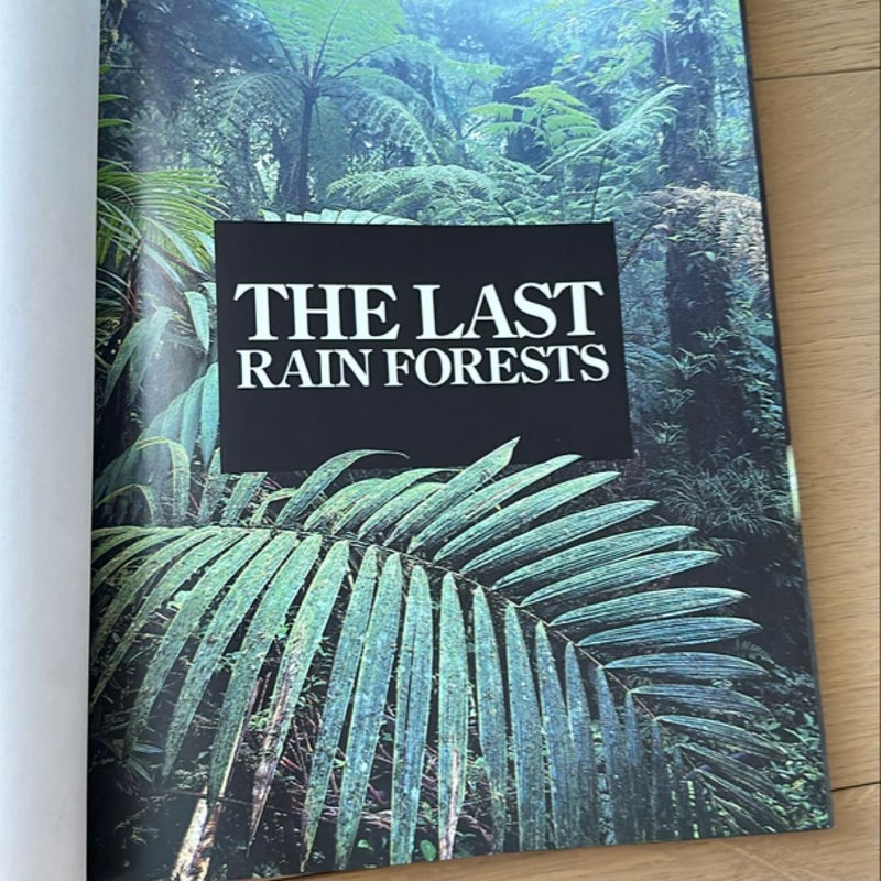 The Last Rain Forests