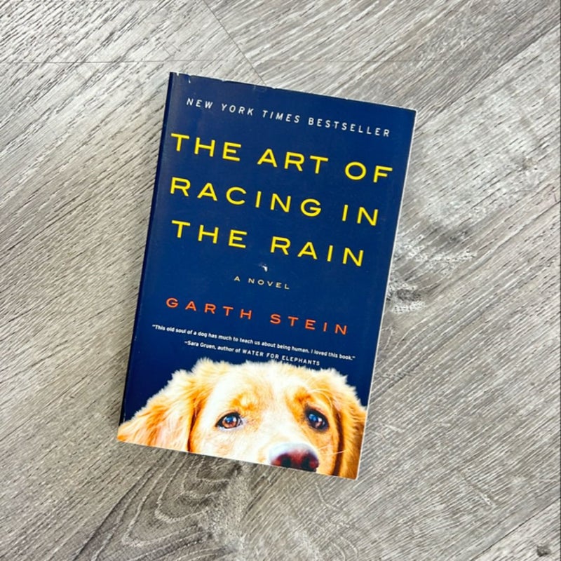 The Art of Racing in the Rain