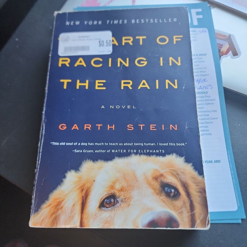 The Art of Racing in the Rain