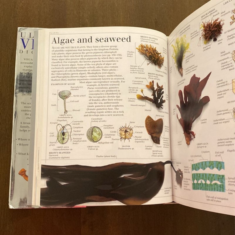 Ultimate Visual Dictionary 2000