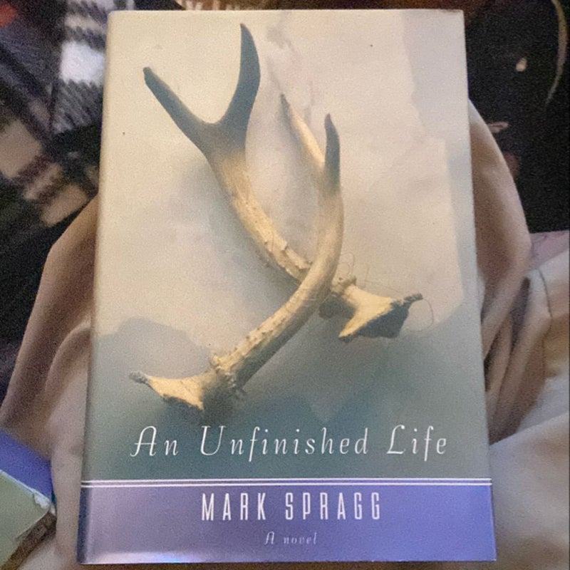 An Unfinished Life