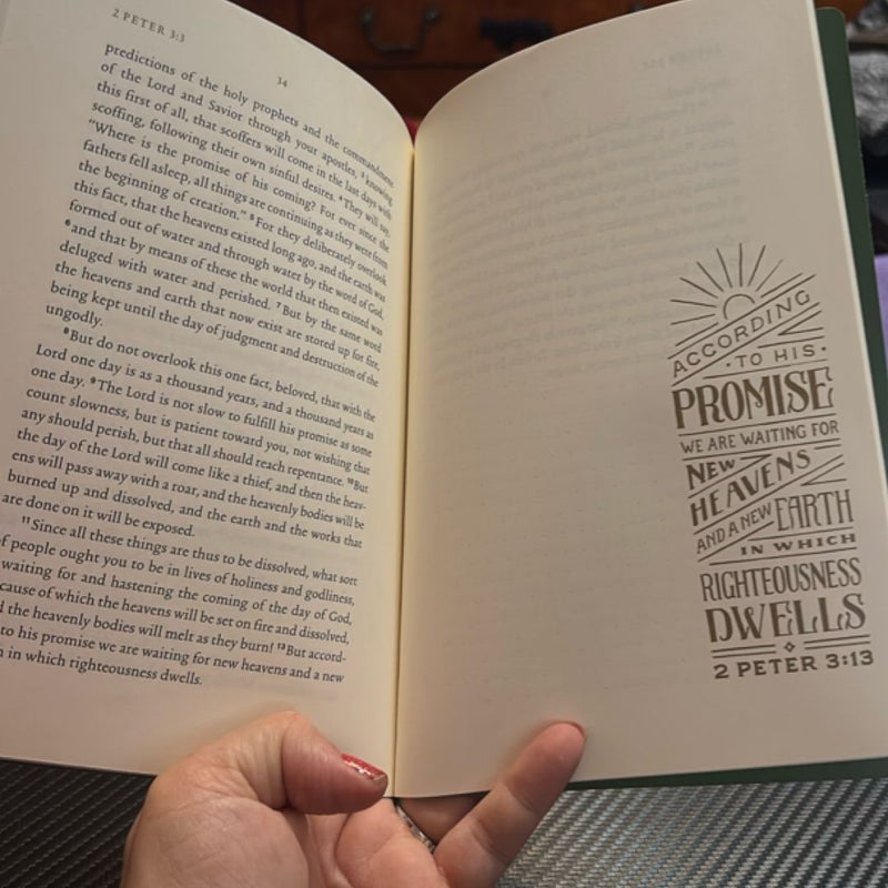ESV Illuminated scripture journal