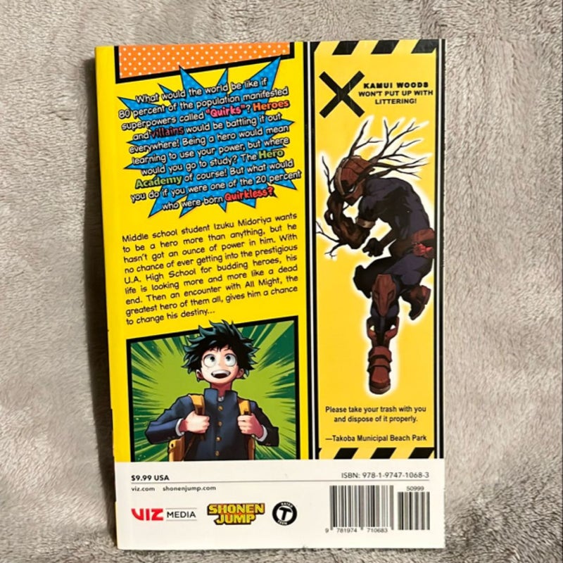 My Hero Academia Vol 1 **Varient Cover**