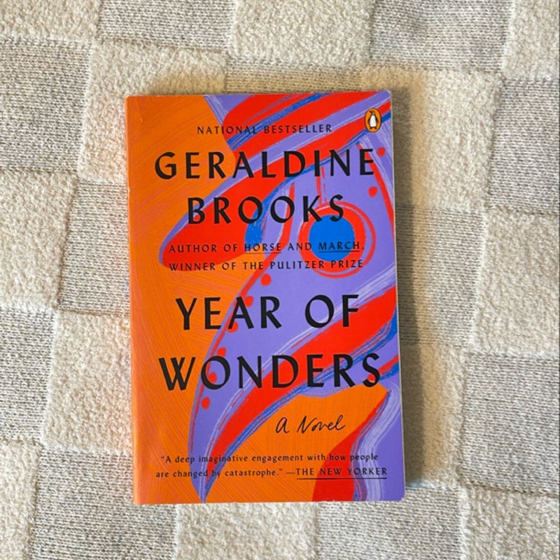 Year of Wonders