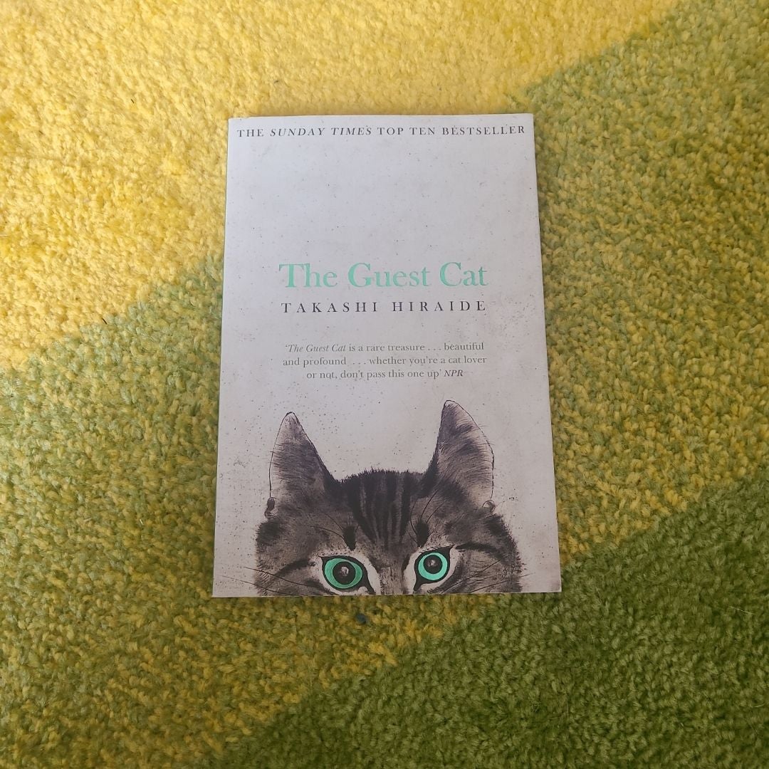 The Guest Cat