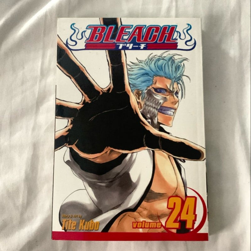 Bleach, Vol. 24